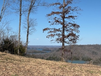 31C N Rockfish Rd, Hilham, TN 38551