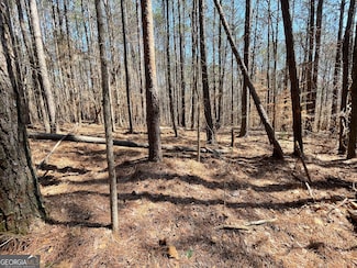 0 Joe Cook Rd Unit 3 10550484, Franklin, GA 30217