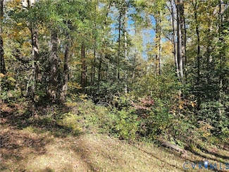 2614 Perkinsville Rd, Maidens, VA 23102