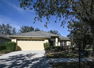 11142 Irish Moss Ave, Riverview, FL 33569
