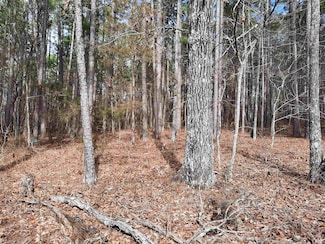 000 Lute Mountain Rd, Shirley, AR 72153