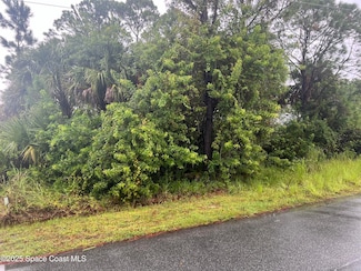 149 Feldman St SE, Palm Bay, FL 32909