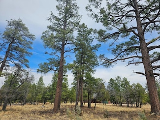 2382 San Juan Dr, Blue Ridge, AZ 86024