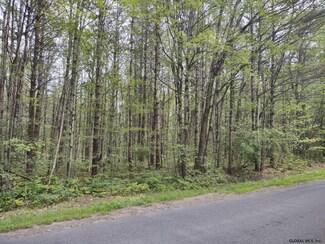 00 Progress Rd, Mayfield, NY 12078