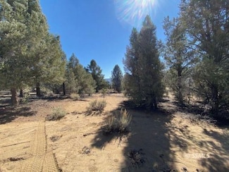 0 Lupine Rd, Kennedy Meadows, CA 93527