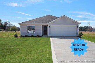 63 Buggy Top (Lot 3) Ln, Autryville, NC 28318