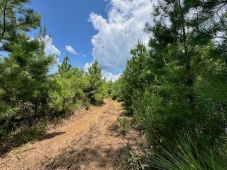 TBD Street Rd, Liberty, MS 39645
