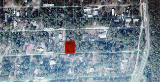TBD NE 204th St, Fort Mc Coy, FL 32134