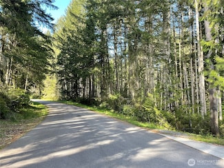 11024 Cascade Place, Anderson Island, WA 98303