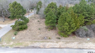 LOT 65 Durango Path, Holly Lake Ranch, TX 75765