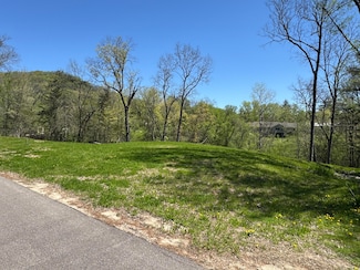 0 Hickory Ln, La Crescent, MN 55947