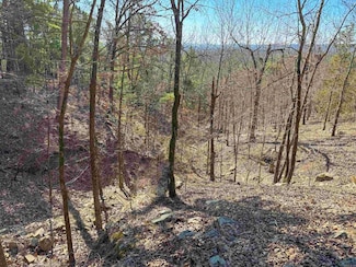 1 High Point Dr, Mayflower, AR 72106