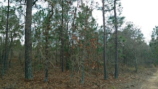 0 Georgia 137, Buena Vista, GA 31803