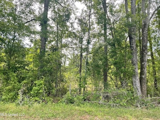 316 Thompson Hill Rd, McLain, MS 39456