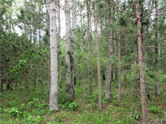 Lot 111 & 112 Bridle Rd, Jackson, WI 54893