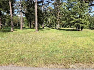 45 S Dr #53r Unit 53R, Greers Ferry, AR 72067