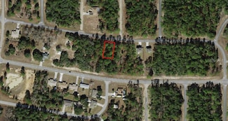 2992 W Higgins Place, Pine Ridge, FL 34433