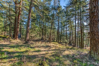 0 Veneda Trail, Eastsound, WA 98245
