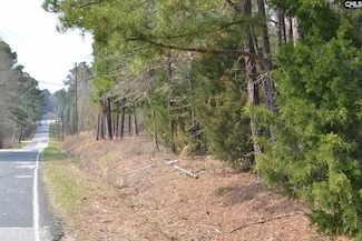 00 Bickley Rd, Irmo, SC 29063