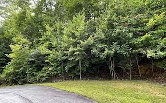 LOT 34 the Overlook at Young Harris, Young Harris, GA 30582