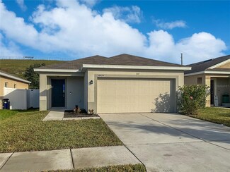 14424 Haddon Mist Dr, Wimauma, FL 33598