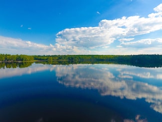 13204 W Shore Dr, Millersburg, MI 49759