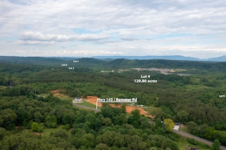 Lot 4 State Highway 163, Calhoun, TN 37309