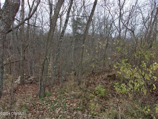 0 Crawford Rd, Delaware Township, PA 17777