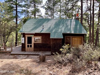 12031 N Soldiers Camp Rd, Mt. Lemmon, AZ 85619