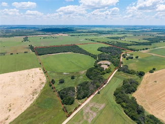 98.17 Acres TBD C R 362, Desdemona, TX 76445