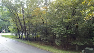 124 Inagehi Way, Loudon, TN 37774