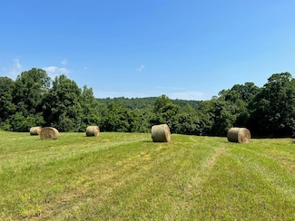 8.3 ac Cherrystone Rd, Chatham, VA 24531