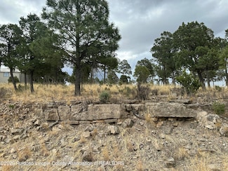 100 Avalon Ct, Ruidoso, NM 88345