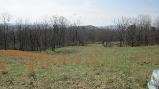 TBD Forest Ridge Rd, Independence, VA 24348