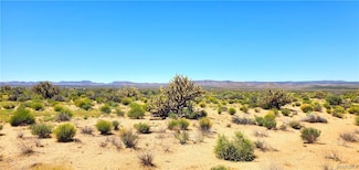 12755 Silver Sage Dr, Dolan Springs, AZ 86441