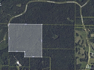 0 County Road 3068 Unit 167882, Double Springs, AL 35553