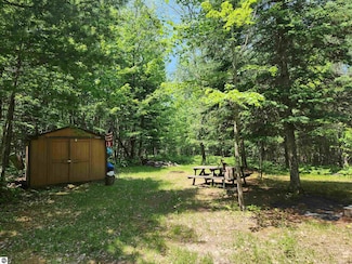 2867 Folks Rd NE, Kalkaska Township, MI 49646
