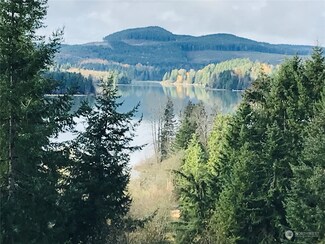 51417 Lillie Dale Rd E, Eatonville, WA 98328