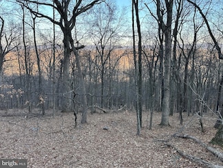 Lot R6 Bobcat Dr, Berkeley Springs, WV 25411