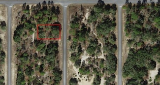 6704 N Founder Terrace, Pine Ridge, FL 34433