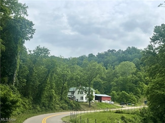 2743 Cow Creek Rd, Saint Marys, WV 26170