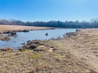 56 Acres County Road 2376, Winnsboro, TX 75494