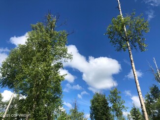 2908 S Knollwood Dr, Big Lake, AK 99623
