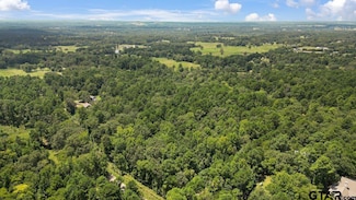 21430 County Road 2182, Whitehouse, TX 75791