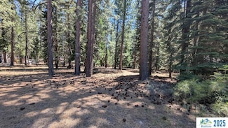 691-320 Lassen Way, Susanville, CA 96130
