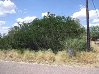 5210 Vicki Ln, Zapata, TX 78076