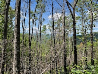 Lot 8 Falls View Rd, Bryson City, NC 28713