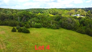 1440 Swannsylvania Rd, Dandridge, TN 37725