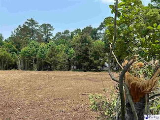 430 Alane St, Lake City, SC 29560