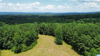 00 Hollow Creek Rd Unit 13.45, Hayden, AL 35079